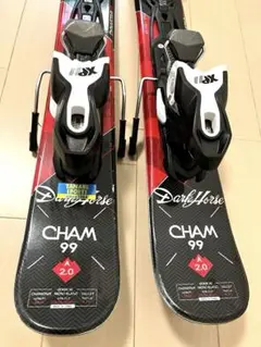 DYNASTAR CHAM107 157cm ビンディング付 チューンナップ済み DYNASTAR CHAM107 157cm ビンディング付 チューンナップ済み