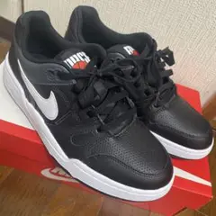 NIKE FULL FORCE LO 一度履いたのみ