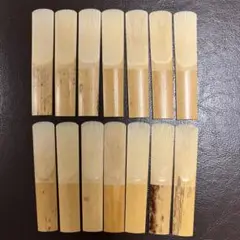 Item thumbnail for item b9681491-fb33-44ff-b8f0-dd9c07122f08