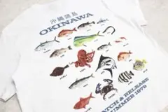 【美品】メンズXL　H&M　沖縄　釣り　魚柄　カジキ　カレイ　シイラ　マダイ