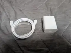 Google 純正充電器　G1000-US