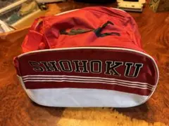 Item thumbnail for item 5736d912-721b-4325-a335-3a5c4b55011c