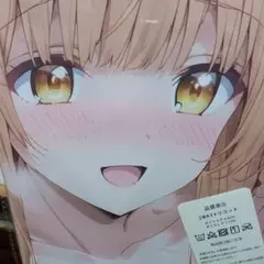 金髪　美人　抱き枕カバー　シークレット