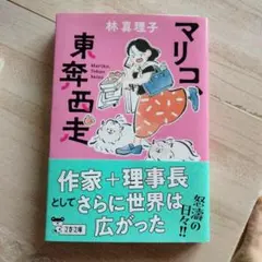 マリコ、東奔西走