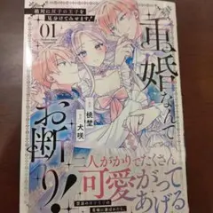 重婚なんてお断り! 絶対に双子の王子を見分けてみせます!