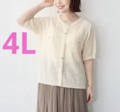 Item thumbnail for item 35a76756-adaf-4f6b-be4d-7b40ebb2426a