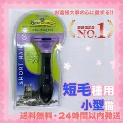 Item thumbnail for item 2b6c07da-60a0-42d0-87c7-6041448dc67f