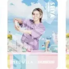 BUDDiiS×MEDULLA ヘアカルテ SEIYA