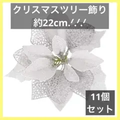 Item thumbnail for item 234098c2-0500-4b74-b4fe-3ae8bac423f2