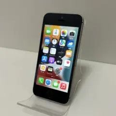 iPhone SE 第1世代 T016279