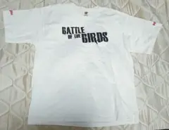アメリカンヴィンテージ超レアTシャツ サイズL