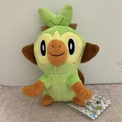 ポケモン サルノリ ぬいぐるみ ポケットモンスター