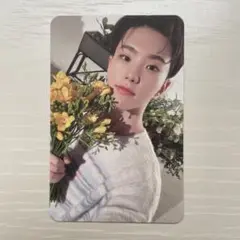 SEVENTEEN Your Choice トレカ ホシ
