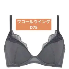 Item thumbnail for item c0b2fa60-9d54-4b27-baad-b457a828bd7a