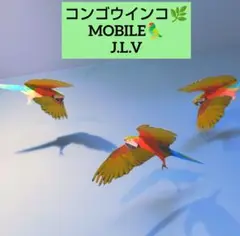 ￥1700→￥1500 オウム　ハルクインコンゴウインコ　鳥　モビール