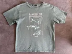 BeBe べべ　半袖Tシャツ　120cm