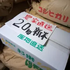 埼玉県産 新米コシヒカリ