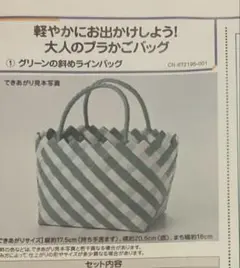 大人のプラかごバッグキット グリーンの斜めラインバッグ おまけつき