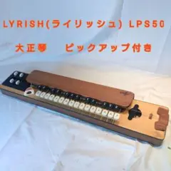 2025年最新】大正琴 ライリッシュの人気アイテム - メルカリ