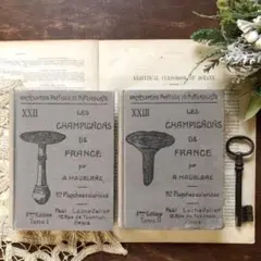 1939年 【2冊組】フランスのキノコの植物図鑑 希少 きのこ図鑑 ヴィンテージ