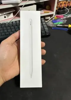 ✨未開封・未使用✨ Apple Pencil (USB-C) 正規品