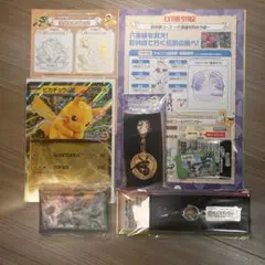 【景品フルコンプ】ポケモンメガスタンプラリー2025 景品コンプセット③
