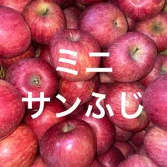 6山形県産りんご 訳ありミニサンふじ10kg