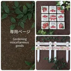 専用ページ