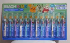 リーチ キッズ ポケモン はえかわり期用 12本セット