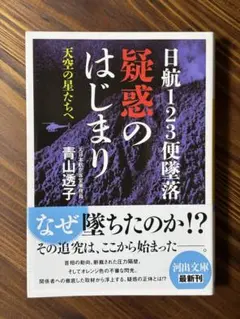 日航123便墜落疑惑のはじまり 天空の星たちへ