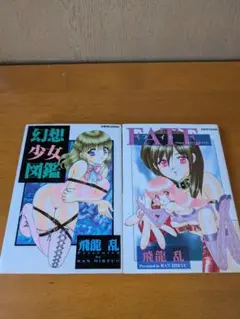 幻想少女図鑑 ➕ Fate～of the super sister　送料無料