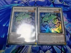 【EU版1st 匿名配送】白き森の幻妖　スーパー2枚