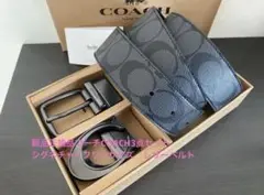 Item thumbnail for item 3e888655-5b57-44bc-b4b4-a313f1232e3b