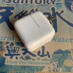 アップル iPad 充電器 USB パワーアダプター 12W