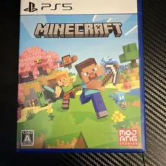 Minecraft PS5 パッケージ版 マインクラフト