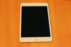 Apple iPad mini5 シルバー本体