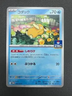 コダック　プロモ①