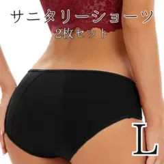 サニタリーショーツ ナプキン不要 生理用ショーツ 吸水ショーツ 下着 黒
