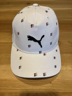 Item thumbnail for item 4a3de76b-5087-4da8-8fda-8b73c39c2e25