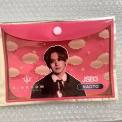 三代目JSOULBROTHERS NAOTO 実写ポーチ レア