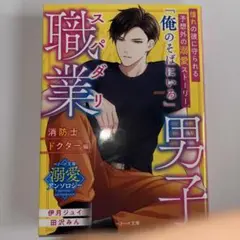スパダリ職業男子～消防士・ドクター編～【ベリーズ文庫溺愛アンソロジー】