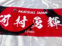 横浜ビーコルセアーズ