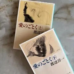 愛のごとく 上下巻セット 渡辺淳一