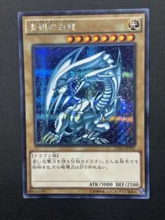 遊戯王 15AX-JPY07 青眼の白龍