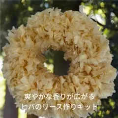 ヒバのリース作りキット