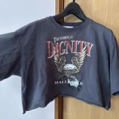 グレー イーグルプリント Tシャツ Mサイズ