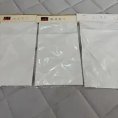 Item thumbnail for item 2f4e7fc8-9edb-4e92-8306-e829c8115151