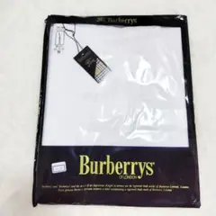 Item thumbnail for item 3312adfa-6a58-4b38-bae7-c0bed5617b03