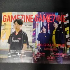 GAMEZINE vol.29 ZETA FENNEL RIDDLE