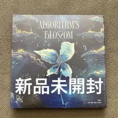 QWER ALGORITHM'S BLOSSOM アルバム 新品